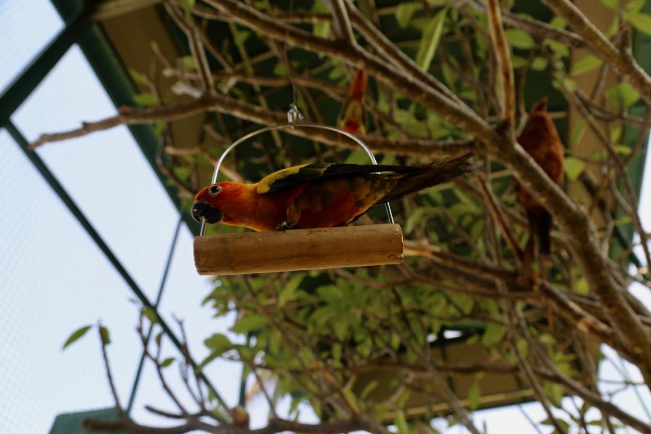 Manas Resort With Petting Zoo, อิกัตปุรี ภายนอก รูปภาพ